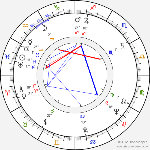 Nick van den Boezem birth chart, biography, wikipedia 2024, 2025