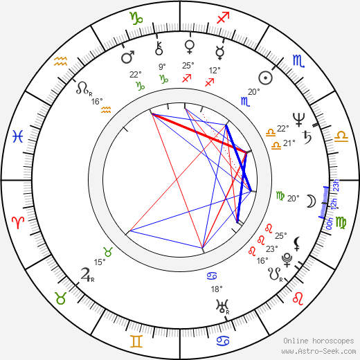 Aaron Lipstadt birth chart, biography, wikipedia 2023, 2024