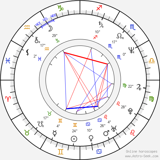 Dominique Deruddere birth chart, biography, wikipedia 2024, 2025
