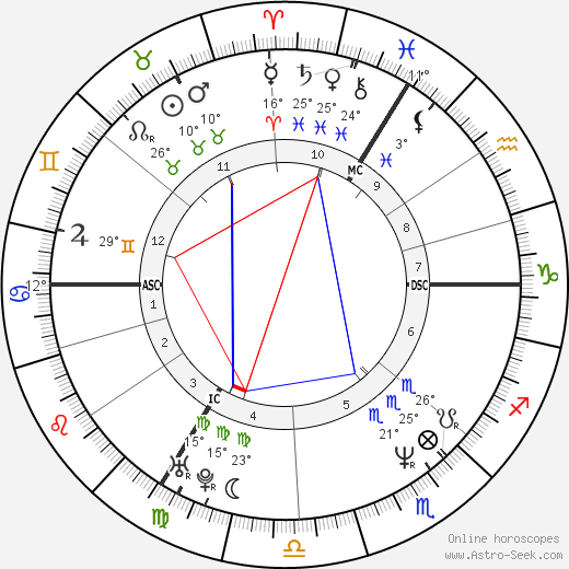 Peter Van Den Abeele birth chart, biography, wikipedia 2023, 2024