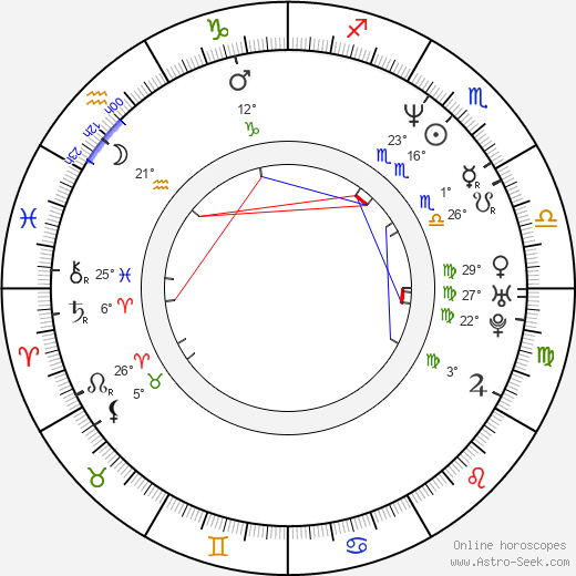 Pim van Hoeve birth chart, biography, wikipedia 2024, 2025
