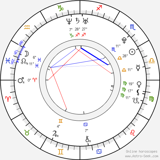 Sander van Amsterdam birth chart, biography, wikipedia 2024, 2025