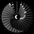 Moon Phases 2024, Lunar Phase Calendar 2024