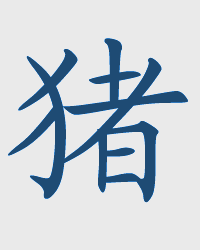 Maiale / ZHU Chinese Zodiac Sign